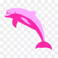 亚马逊河海豚免费剪贴画-罗莎