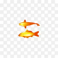 金鱼鲤鱼-金鱼