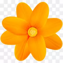 黄色剪贴画-橙色花