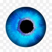 眼虹膜计算机图标.眼睛