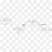 黑白线艺术单色摄影素描-动作