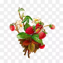 野生草莓派水果夹艺术-复古花
