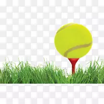 高尔夫球-网球-高尔夫球