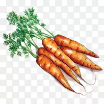 农托学校项目-从当地的食品胡萝卜农场到学校-胡萝卜