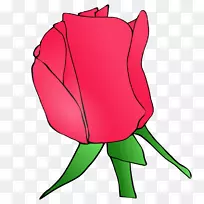 玫瑰花蕾插花艺术-花红