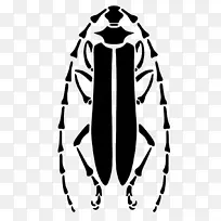 甲虫模具剪贴画-龙角