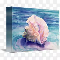 加勒比海海螺水彩画-海螺