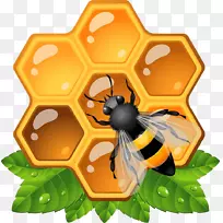 蜜蜂昆虫蜂巢剪贴画蜂巢