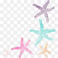 珊瑚海星电脑图标剪贴画水彩画明星