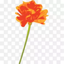 花卉橙色剪贴画-万寿菊