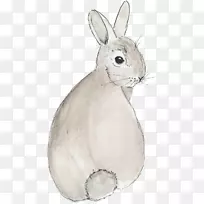 复活节兔子家兔脊椎动物水彩画兔子