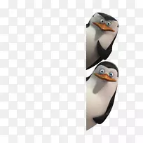 私人企鹅不会飞鸟马达加斯加-Pinguins