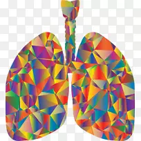 肺t恤呼吸系统剪贴画.低聚