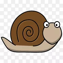 腹足蜗牛夹艺术-蜗牛
