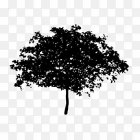 树木绘制剪贴画.树