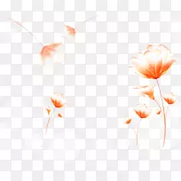 大农虎池明市纸业花卉壁纸-花PNG