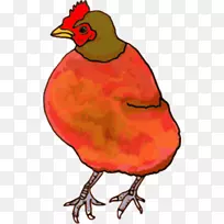 鸡，小红母鸡，着色书，剪贴画-母鸡