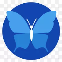 蝴蝶约会教练辅导生活大师昆虫-蓝色蝴蝶