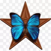 蝴蝶昆虫形态-蓝色蝴蝶