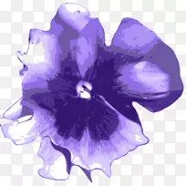 绘画花卉剪贴画.紫色水彩画