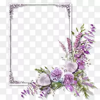 相框玫瑰紫色数码剪贴夹艺术-桃花