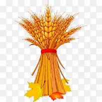 丰收节秋剪贴画-麦胚