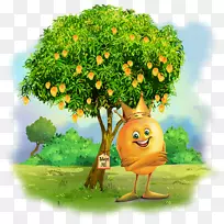 甘露芒果-芒果树