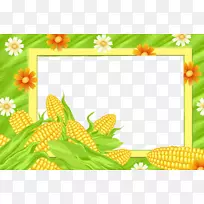 图片框玉米甜玉米