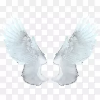 翼天使光栅图形剪辑艺术翅膀
