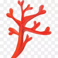红色珊瑚礁剪贴画-珊瑚