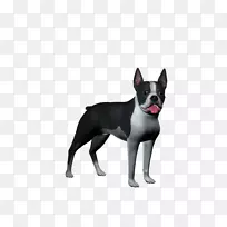 波士顿猎犬，旧英国猎犬，英国白猎犬，犬种