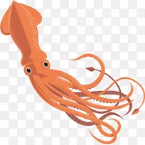 章鱼，头足动物，无脊椎动物-鱿鱼