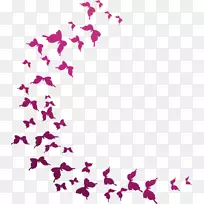 斯特拉蝴蝶桌面壁纸艺术壁纸-水彩画蝴蝶
