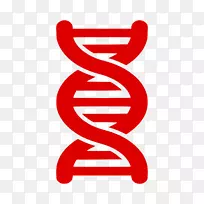 dna核酸双螺旋计算机图标黑白剪贴画.dna