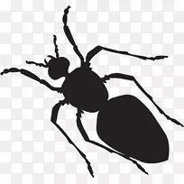 黑色花园蚂蚁贴纸剪贴画-蚂蚁