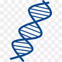 DNA核酸双螺旋剪贴画