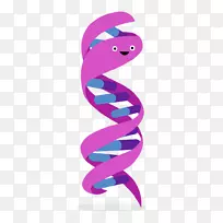 人类基因组计划dna day基因核酸双螺旋dna