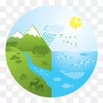 水生生态系统标志图.文件