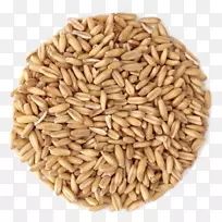 有机食品谷物-燕麦