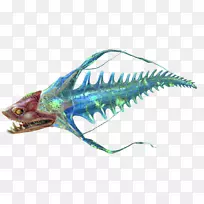 海底感染细菌生物-河流
