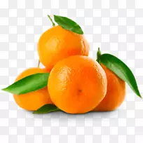 柑桔，桔子，橘子.橘子