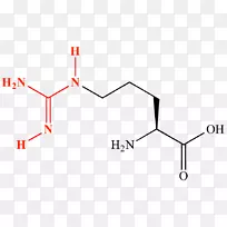 氨基酸胺胍蛋白路易斯结构化学