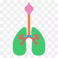 肺氧夹艺术-人体