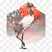 水鸟喙-长寿