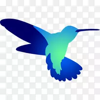 蜂鸟翼钉标志Android-蜂鸟