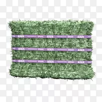 紫花苜蓿干草饲料马营养-紫花苜蓿