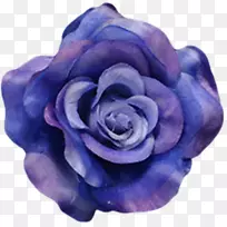 花蓝色玫瑰花瓣-蓝色玫瑰