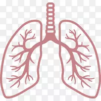 肺呼吸系统电脑图示呼吸系统疾病呼吸-肺