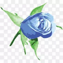 最佳玫瑰蓝玫瑰剪贴画-蓝色玫瑰