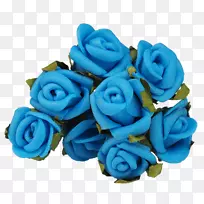 蓝色玫瑰花园玫瑰-蓝色玫瑰